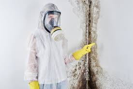 Best Water Damage & Mold Remediation in Brooklawn, NJ